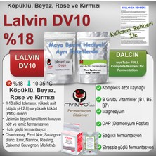 Lallemand DV10 Şarap Mayası (%18) Güçlü Şarap Mayası 15 Gram (Mead, Kırmızı, Beyaz ve Rose Fermantasyonu Için)