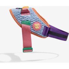 Zee Dog Galaxy Flyharness Göğüs Tasması - Zee.dog