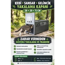 Delta Kedi Yakalamada Profesyonel Çözüm Elektro Frog Yakalama Kafesi 70 cm Gövde Galvaniz Kaplı