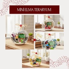 Milas Toptan mt Mini Elma Teraryum - Öğretmenler Günü Hediyesi