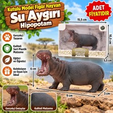 Milas Toptan mt Kutulu Model Figür Hayvan Su Aygırı / Hipopotam (Adet Fiyatıdır)
