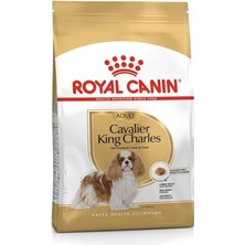 Die Grup Royal Canin-Cavalier King Charles 27 Yetişkin Köpek Sı 3 kg