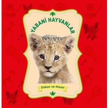 0-6 Yaş Yayınları Yabani Hayvanlar - Dokun ve Hisset