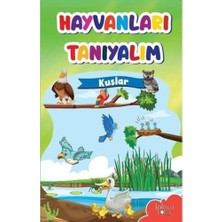 Baloncuk Kitap Muhteşem Çizimler ve Kolay Anlatım ile Hayvanları Tanıyalım Kuşlar