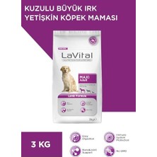 Die Grup Maxi Adult Lamb Formula, 3 kg (2 Paketi)