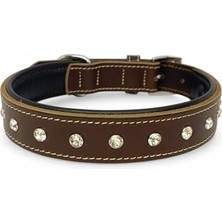 Mythriva %100 Hakiki Deri - Antik Tokalı Köpek Tasması – Yumuşak Iç Katman, Dayanıklı ve Şık Tasarım - Gerçek Deriden Tasma; Ekstra Küçük, Küçük, Orta, Büyük, Çok Büyük Köpekler Için (Kahverengi, L)