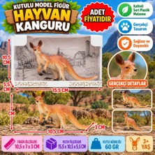 TeknoKapsül Kutulu Model Figür Hayvan Kutup Ayısı (Adet Fiyatıdır)