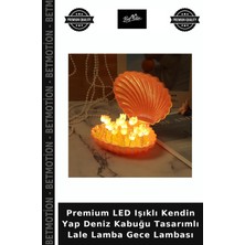 Premium LED Işıklı Kendin Yap Deniz Kabuğu Tasarımlı Lale Lamba Gece Lambası