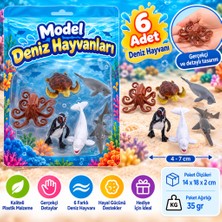 Akıllı Bayi Model Deniz Hayvanları Aby