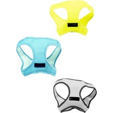Str Store Popiço, Kedi, Köpek, Gezdirme, Göğüs Tasması, Tasma, (3 Adet) (Erkek (Mavi, Sarı, Gri), M)