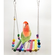 Ozzi Petshop Papağan Salıncağı Renkli Köprü Papağan Oyuncağı+