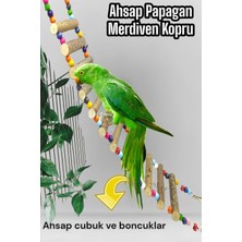 Ozzi Petshop Jako Papagan Oyuncak Dogal Ahsap Merdiven 50 cm