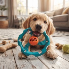 Mr Halatlı Frizbi Köpek Isırma Oyuncağı - Mama Ödüllü Mekanizma