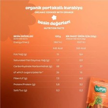 NW NessiWorld Organik Vegan Portakallı Kurabiye 55 gr