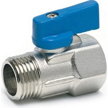 Mrnova Mini Vana Erkek Dişi 1/2x1/2
