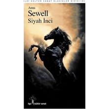 İlgi Kültür Sanat Yayınları Siyah Inci