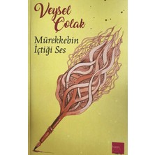 Kaos Çocuk Parkı Yayınları Mürekkebin Içtiği Ses