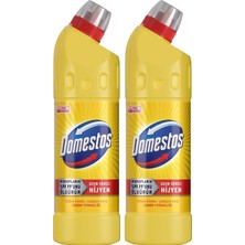 Happy Trend Limon Ferahlığı Mikrop Öldürücü Çamaşır Suyu 750 ml 2li Paket
