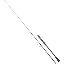 Ryuji Black Sea Fuji SP 1.80M 90-280GR 2P Jig Kamış