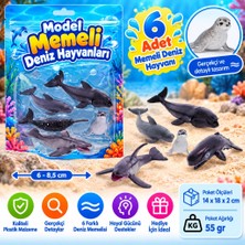 Bomii Model Memeli Deniz Hayvanları