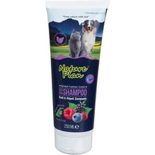 Nature Plan Orman Meyveli Kedi ve Köpek Şampuanı 250 ml