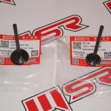 Moto SPL Suzukı Gsxr 250/GW Inazuma/v-Strom 250 Sübap Tk