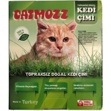Belirtilmemiş Catmozz Yavru Yetişkin Kediler Için Organik Topraksız Kedi Çimi