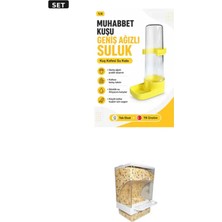 Muhabbet Kuşu Suluğu Geniş Ağız Suluk + Akıllı Kuş Yemliği Taban Hazneli Beya… Kuş Seti