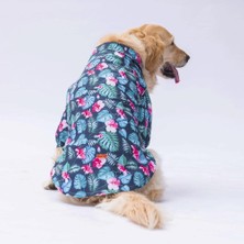 Pawstar Floral Orta ve Büyük Irk Köpek Gömleği - Köpek Kıyafeti (15 Kg-45 Kg) 3xl