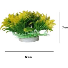 İyon Iyon Plastik Bitki BNS-3699 ( 12 x 7 cm )
