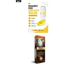 Muhabbet Kuşu Suluğu Geniş Ağız Suluk + Premium Kalamar Kemiği Büyük Boy Kuş Seti