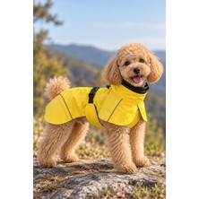 Pati Nuva Su Geçirmez Pelerin Köpek Yağmurluğu Sarı Xl