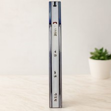 Astraltech Frenli Teleskopik Bilyalı Çekmece Rayı 43X450MM