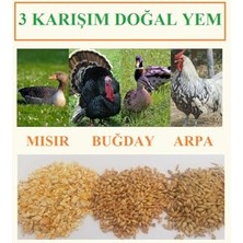 Odea Buğday Kırık Mısır Arpa Karışım 2 kg Tavuk Yemi Kanatlı Kaz Doğal Yem Kümes