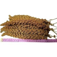 Odea Kızıl Dal Darı (Yeni Mahsul) 1. Kalite 500 gr