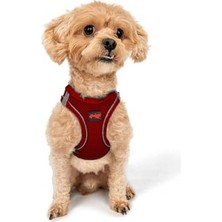 Odea Yumuşak ve Nefes Alabilir Küçük ve Orta Irk Köpek Göğüs Tasması, Kırmızı