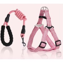 Velora Xl Boy Çok Büyük Köpekler Için Ayarlanabilir Tasma, Pembe