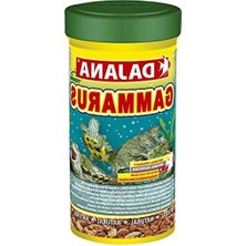 Velora 250 ml 25 gr Sürüngen ve Kaplumbağa Yemi, Özel Formül