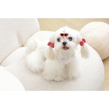 Velora Glam Köpekler Için Aksesuar Toka Red