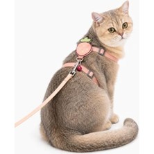 Velora Pembe Zilli Kedi Göğüs Tasması ve Kayış Seti, Ayarlanabilir