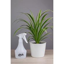 Velora Endüstriyel 1.0cc Fısfıs, YAĞMUR500 PRO10 Modeli, 0.5 Litre Kapasite