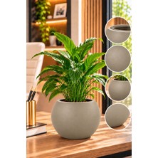 Pur Bella 20X20 cm Grej Vizon Dekoratif Saksı Seti Iç ve Dış Saksı, Drenaj Delikli Iç Saksılı Modern Yuvarlak Saksı