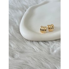 Revoia Minimal Kavisli Gold Küpe