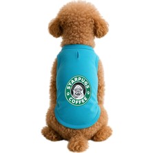 Velora Mpz Pets Kedi ve Köpek Kıyafeti & Elbisesi Turkuaz Starpugs Atlet L