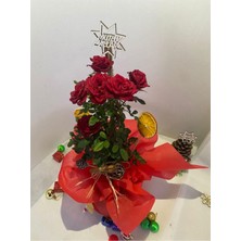 Velora Nura Botanik Yılbaşına Özel Süslü Kırmızı Bodur Gül, 30-40 Cm, Kozalak ve Portakal Dahil