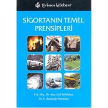Türkmen Kitabevi Sigortanın Temel Prensipleri