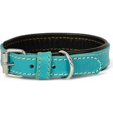 Velora Canini Collar Rainbow Xs Hakiki Deri Küçük Köpek Tasması – Xs Beden, Küçük ve Mini Köpekler Için Tasma, Yumuşak Iç Deri, Krom Kaplamalı Toka & D-Halka, 7 Farklı Renk Seçenekleri (Turkuaz)
