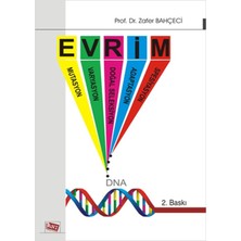 Anı Yayıncılık Evrim