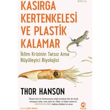 Nova Kitap Kasırga Kertenkelesi ve Plastik Kalamar