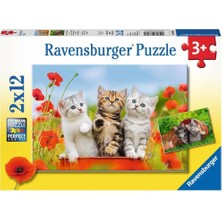 Velora Ravensburger 2X12P Puz Yavru Kediler